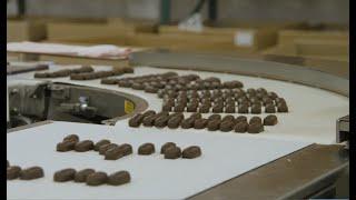 几十个一口大小的巧克力糖果排列在一条白色的传送带上